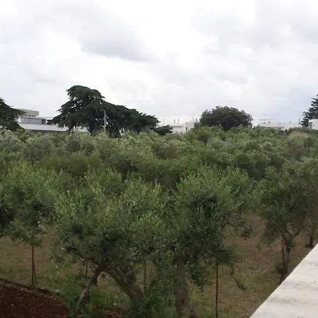 Casa Colucci ألبيروبيللو