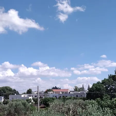 شقة Casa Colucci *